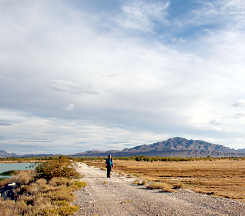 ash-meadows-nevada
